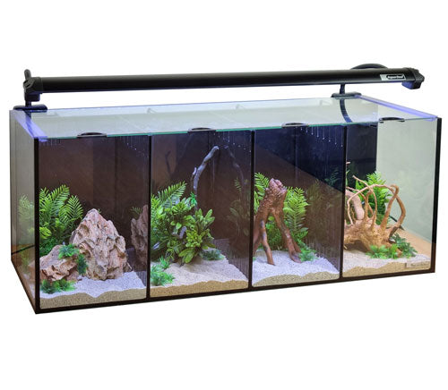 Aqua One Betta Quad 60L Glass Aquarium Tank
