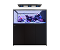 Red Sea Reefer MAX Peninsula S-700 G3 Aquarium