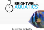 Brightwell Kalk+2 225g Marine Reef Buffer
