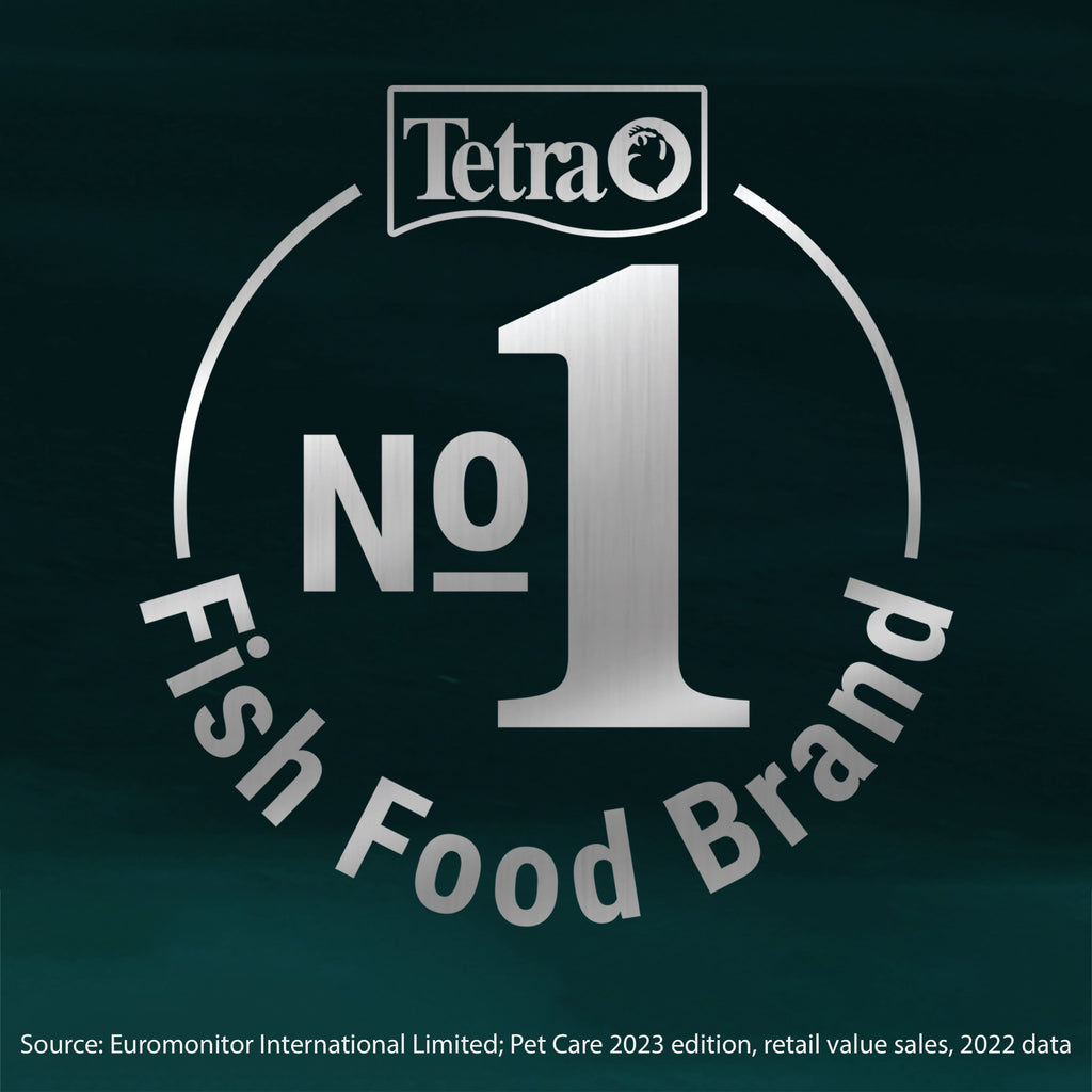 Tetra Pond Flakes 100g - Fish Food T366