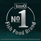 Tetra Pond Flakes 100g - Fish Food T366