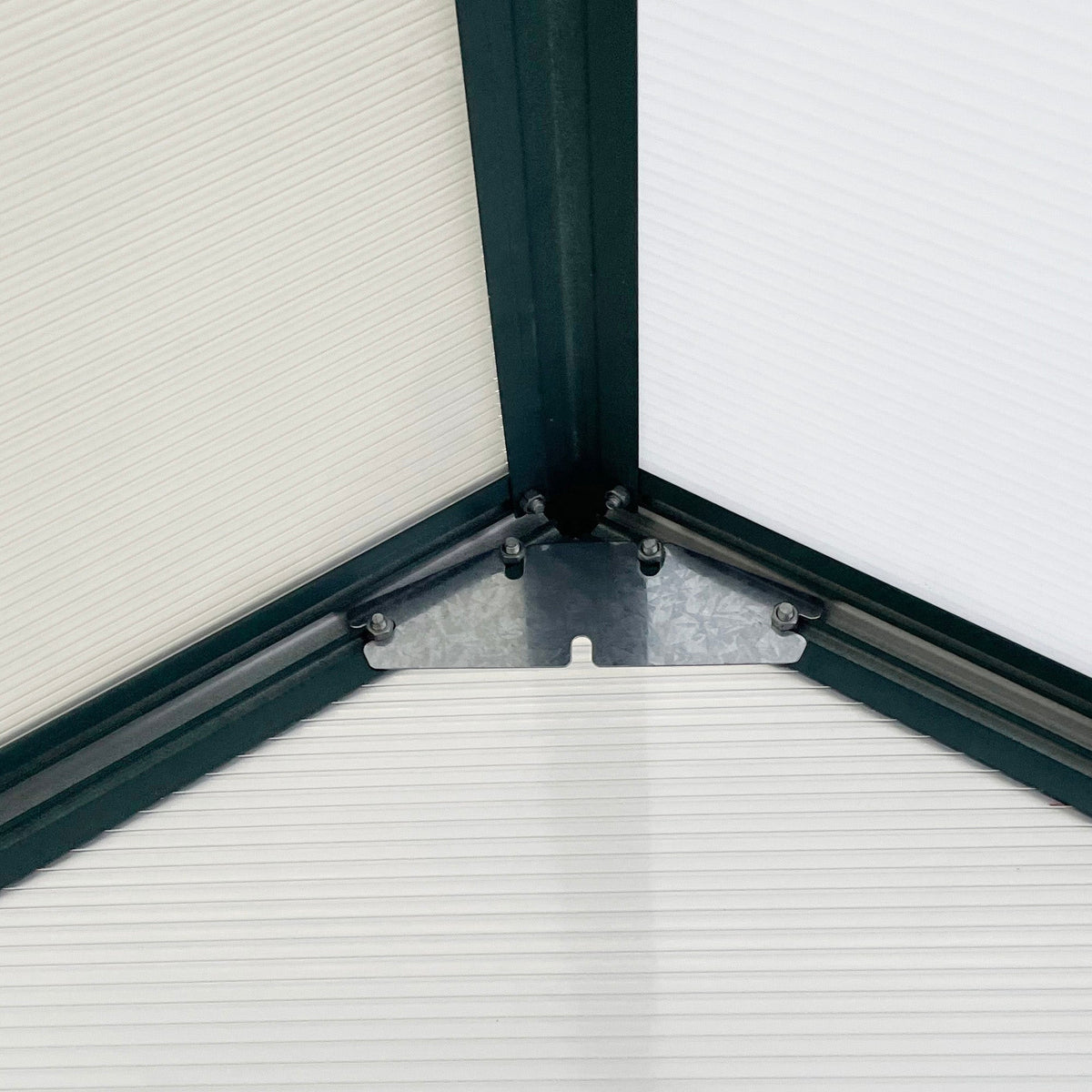 BloomGreen 6' x 12' x 6.5' Polycarbonate Greenhouse with Adjustable Roof Vent & Sliding Door, Green
