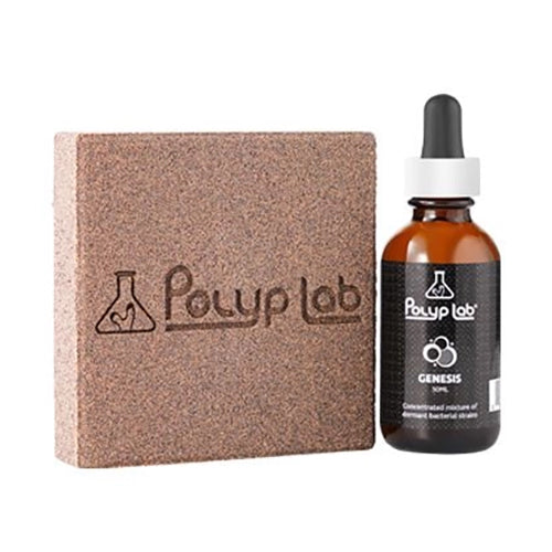 Polyplab Bacterial Blend Genesis 50ml - 80B Cells/ml