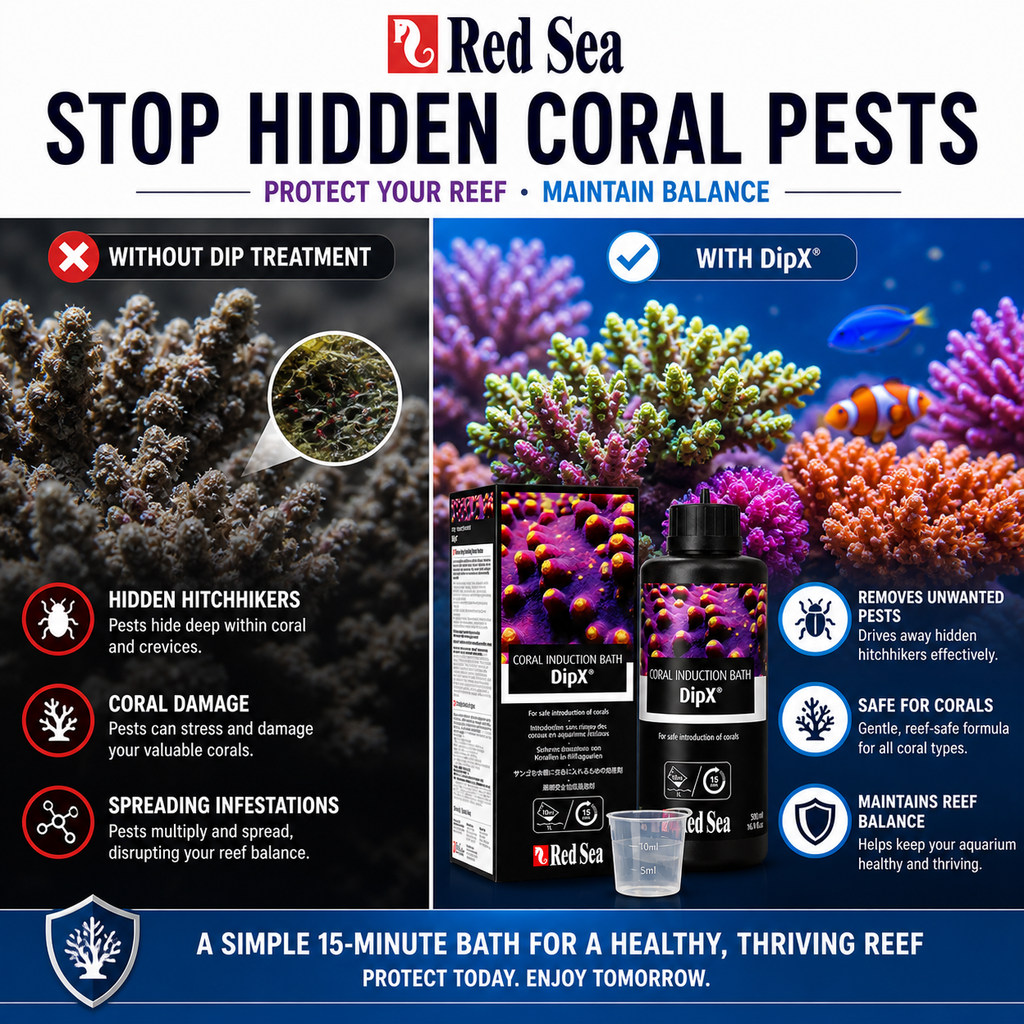 Red Sea DipX Coral Dip Solution for Reef Aquariums
