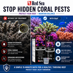 Red Sea DipX Coral Dip Solution for Reef Aquariums
