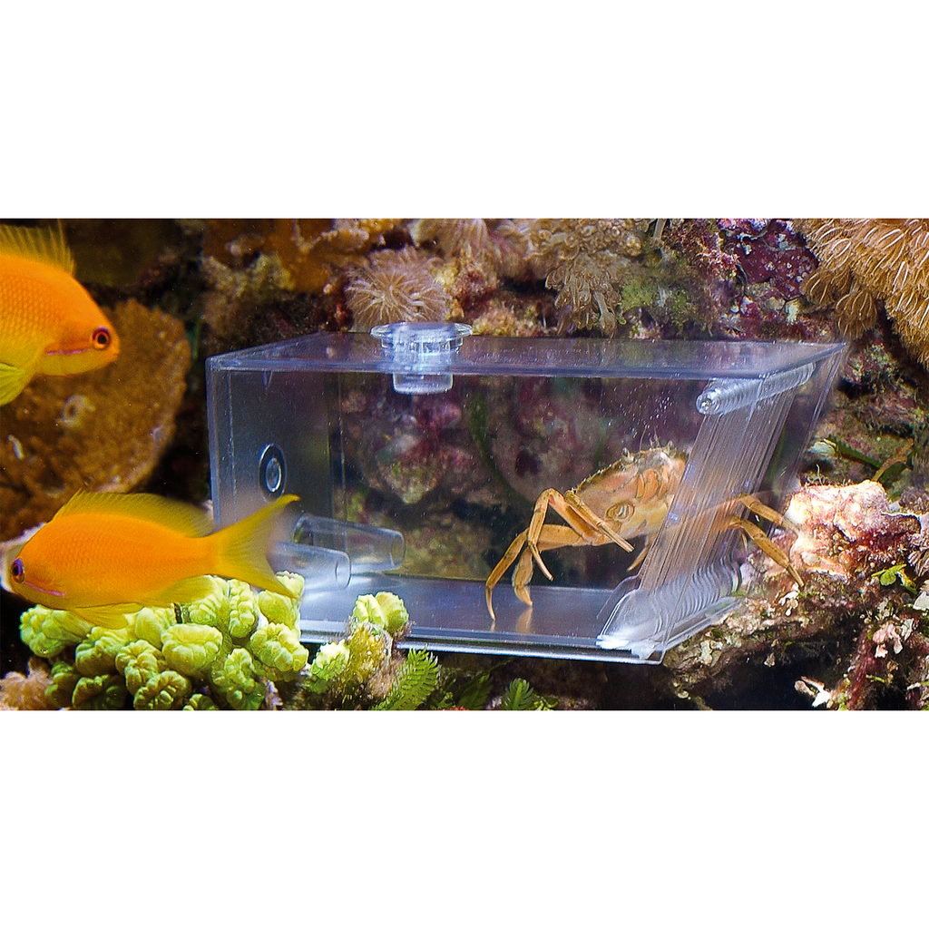 Aqua Medic Trap-Pest - Automatic Bristle Worm, Crab & Snail Trap - Reef Safe