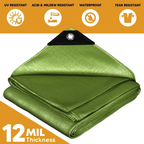 Green Poly Tarp 12' x 16' - Case of  5