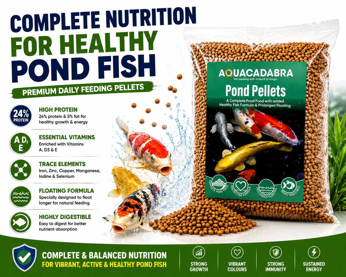 Aquacadabra Fun in the Sun Pond Feeding Bundle – Premium Pellets & Floating Feeding Ring