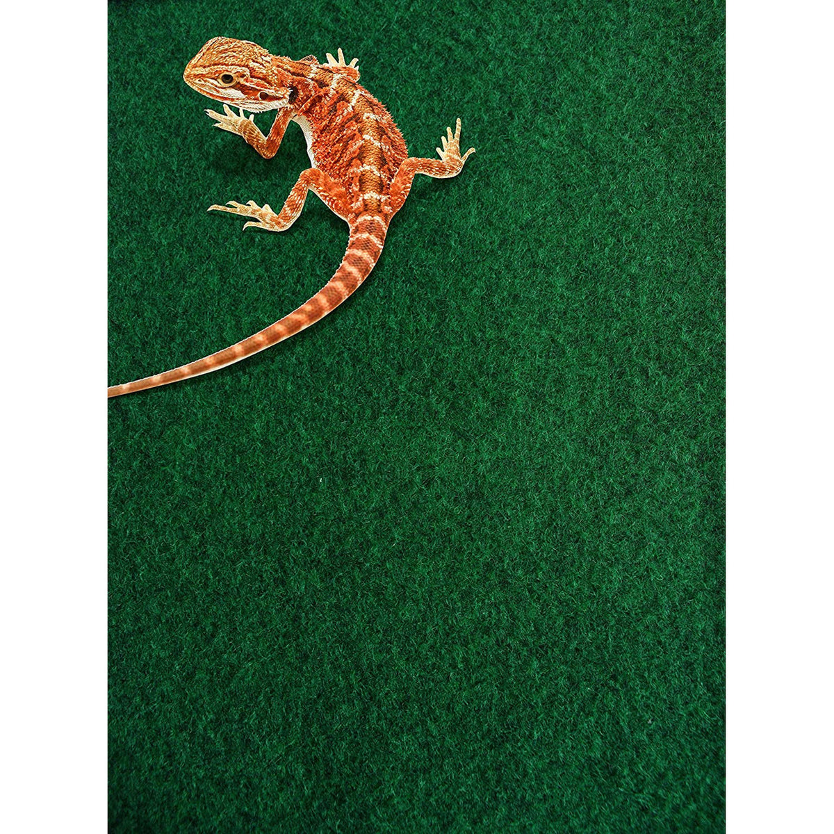 Komodo Reptile Carpet: Soft, Absorbent Substrate