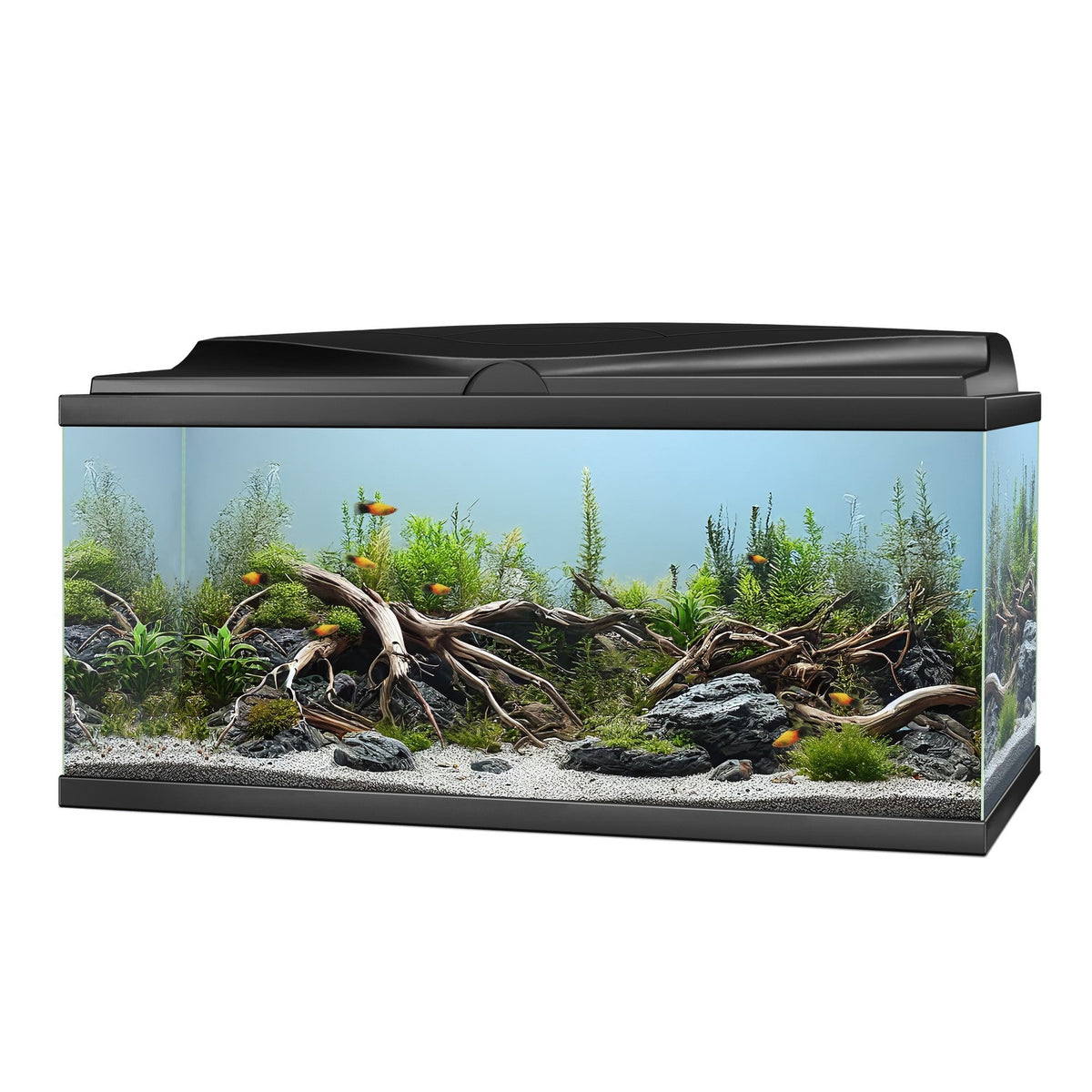 Ciano Aqua 85 LED Aquarium 76L with Filter & Heater
