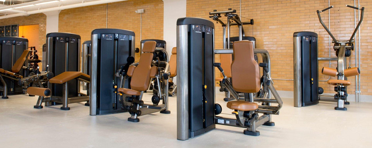 Life Fitness Insignia Series Lying Leg Curl Selectorised