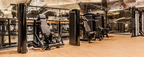 Life Fitness Insignia Series Leg Extension Selectorised