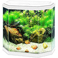 Ciano Hex 30 LED Aquarium, 25L White with Filter