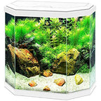 Ciano Hex 30 LED Aquarium, 25L White with Filter