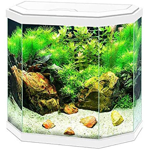 Ciano Hex 30 LED Aquarium, 25L White with Filter