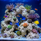 Aquacadabra Ocean Reef Rock 20kg Natural Reef & Cichlid Aquarium Decoration