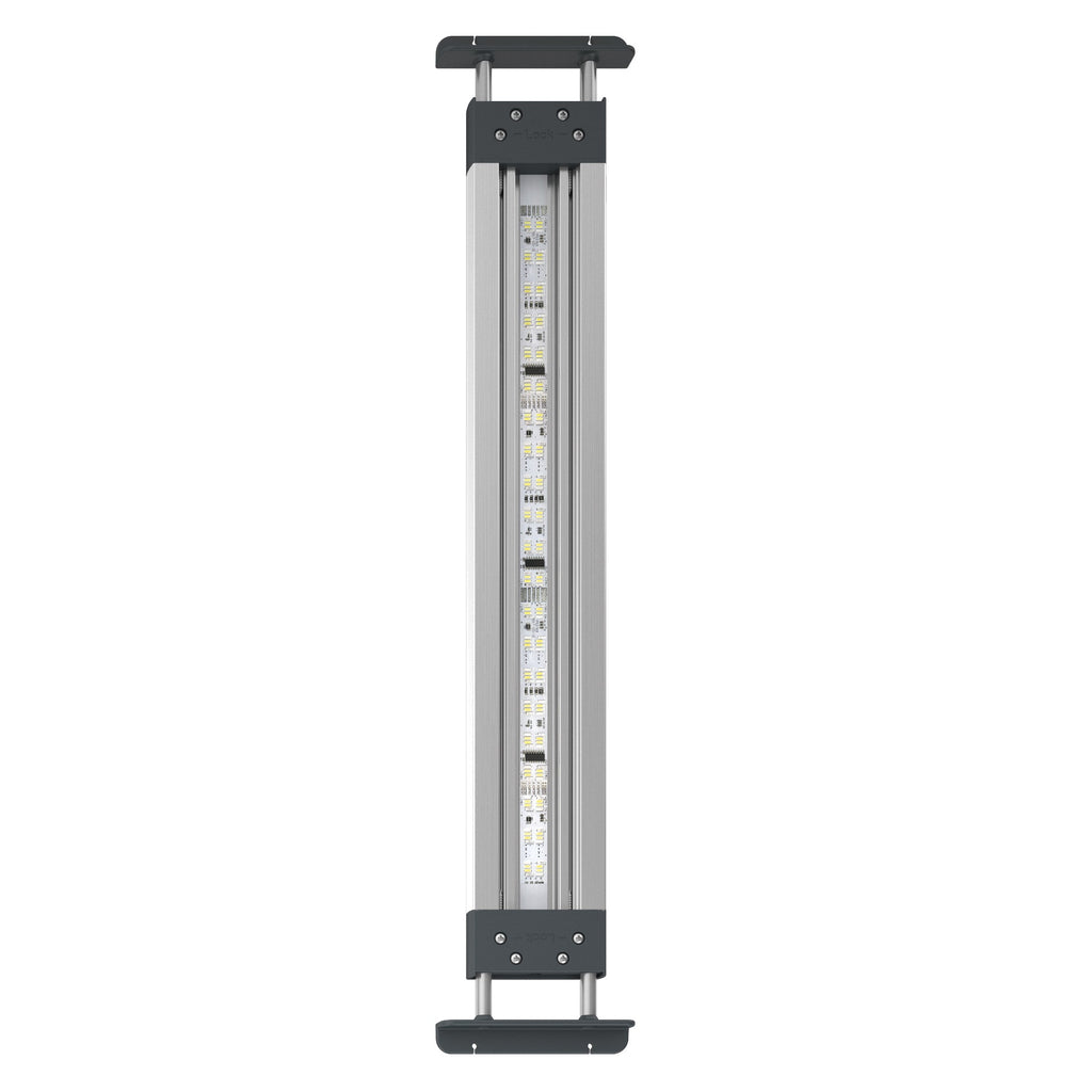 Oase HighLine MotionControl Premium LED Lighting
