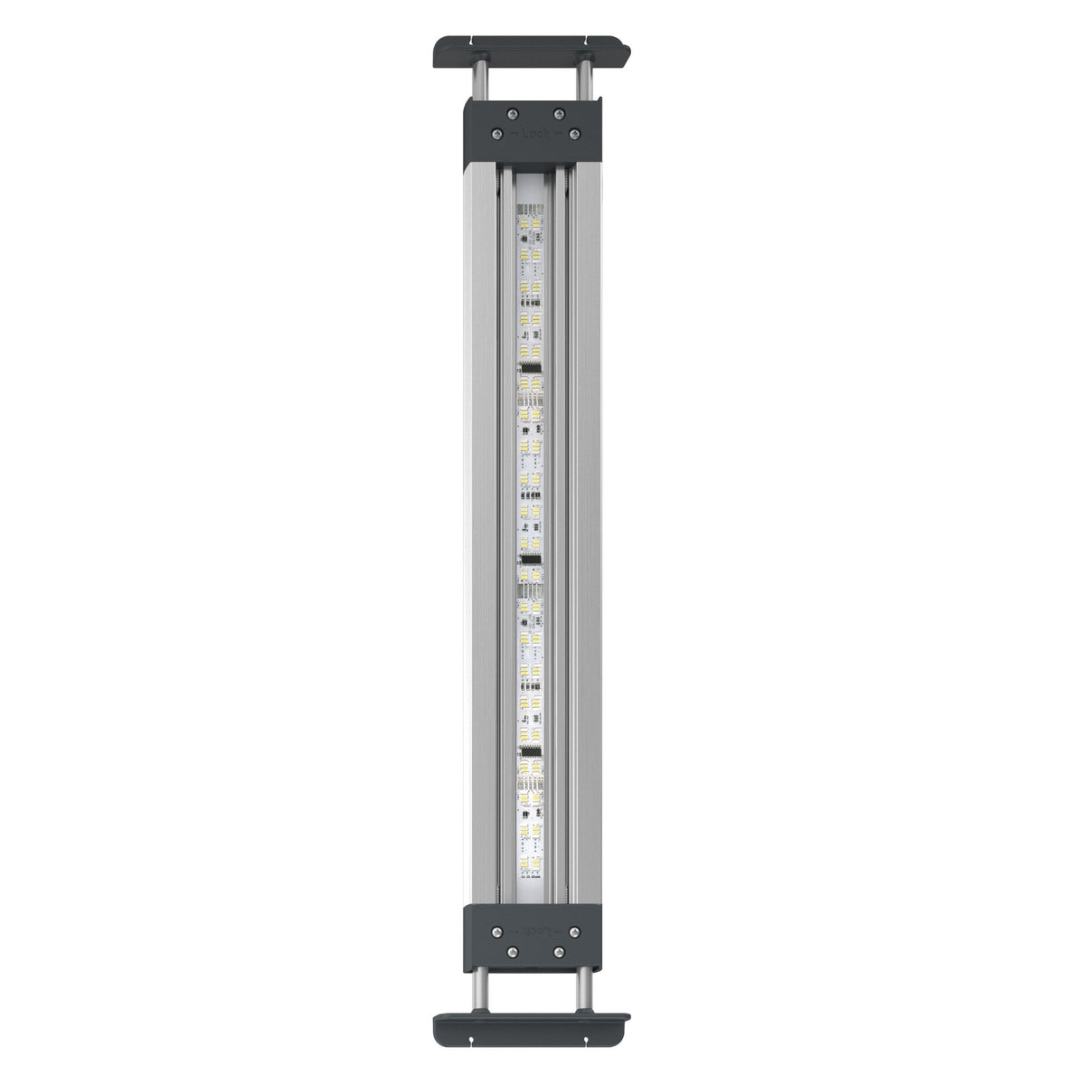 Oase HighLine MotionControl Premium LED Lighting