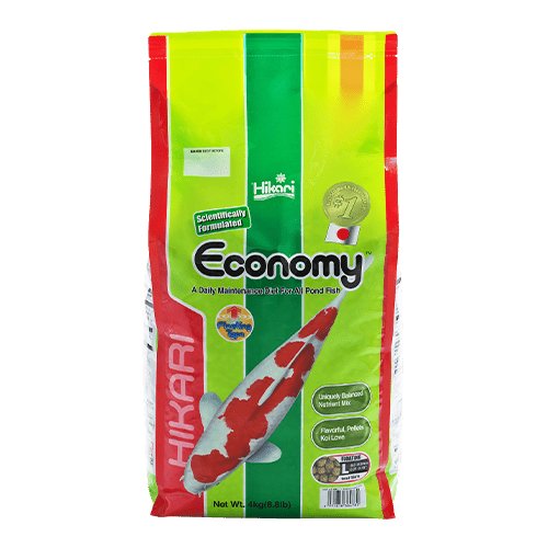 Hikari Economy - Medium Pellet - 8.8lb (4Kg)