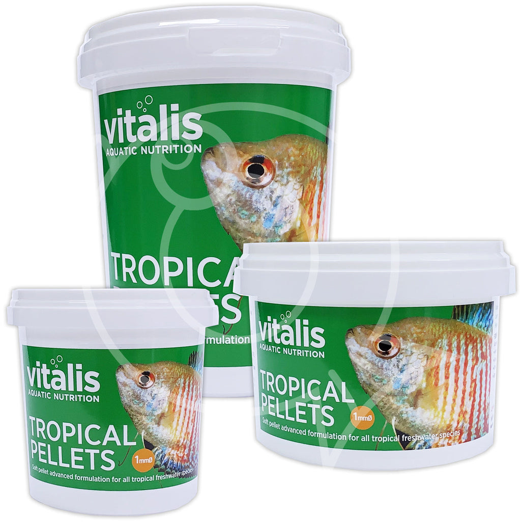 Vitalis XS Tropical Fish Pellets - Complete Nutritional Feed
