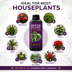 Growth Technology Houseplant Focus Concentrated Liquid Fertiliser 1L