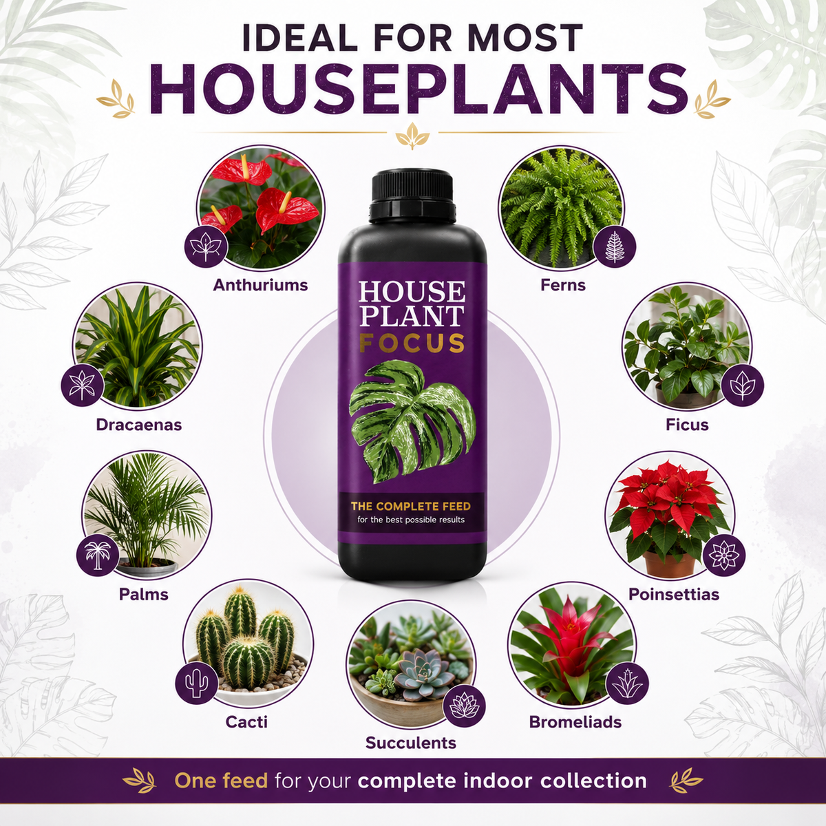 Growth Technology Houseplant Focus Concentrated Liquid Fertiliser 1L
