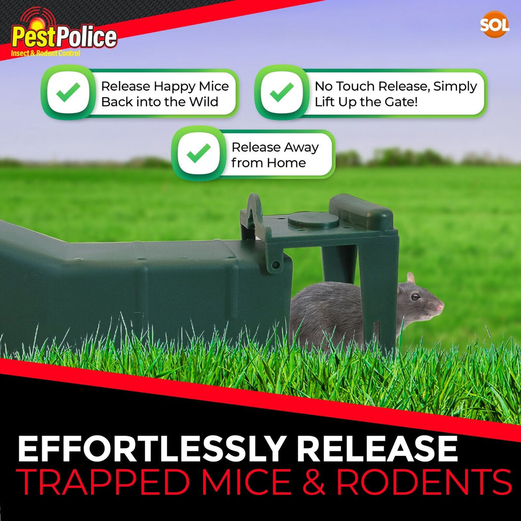 Humane Mouse Trap | Live Catch Rodent Cage Indoor Use