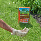 Westland Moss Master Lawn Feed & Moss Remover 80m² Natural Treatment