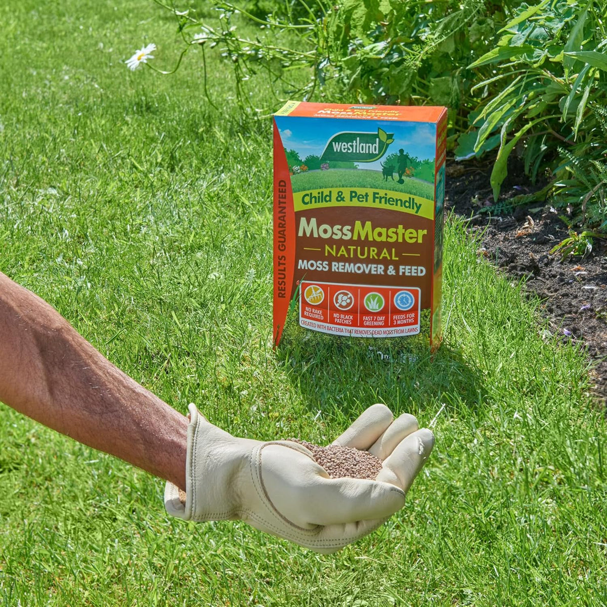 Westland Moss Master Lawn Feed & Moss Remover 80m² Natural Treatment