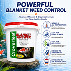 Cloverleaf Blanket Answer Pond Treatment