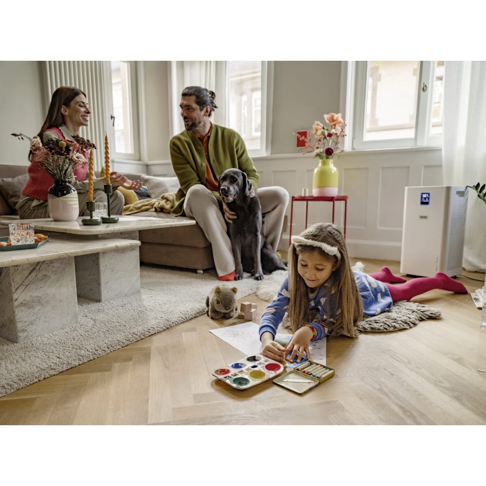 Karcher AF50 Air Purifier