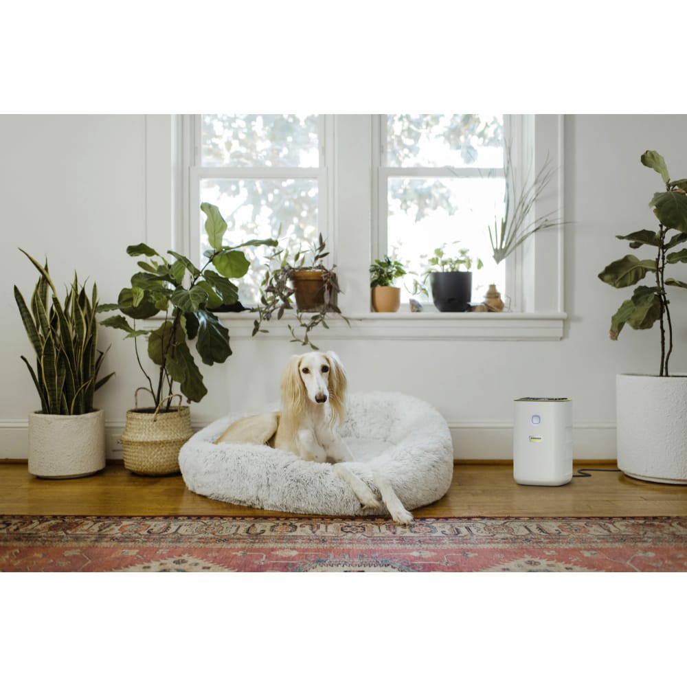 Karcher AF20 Air Purifier
