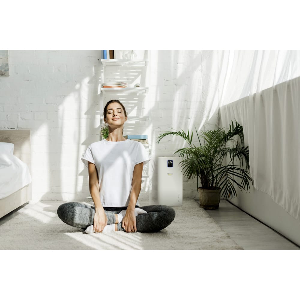 Karcher AF50 Air Purifier