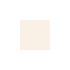 Standard Paint Options