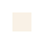 Standard Paint Options