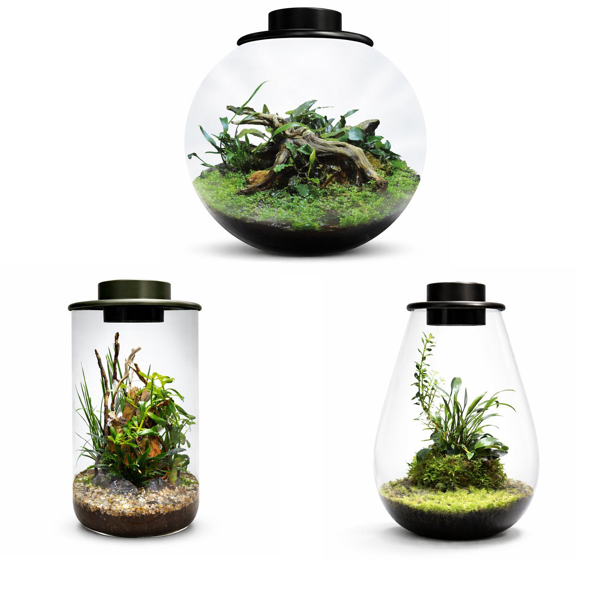 BioArt Drop 285 Black Nano Garden LED Plant Terrarium Dome