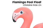 Inflatable Fancy Flamingo Pool Float