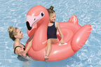 Inflatable Fancy Flamingo Pool Float