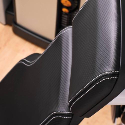 Life Fitness Insignia Series Back Extension Selectorised