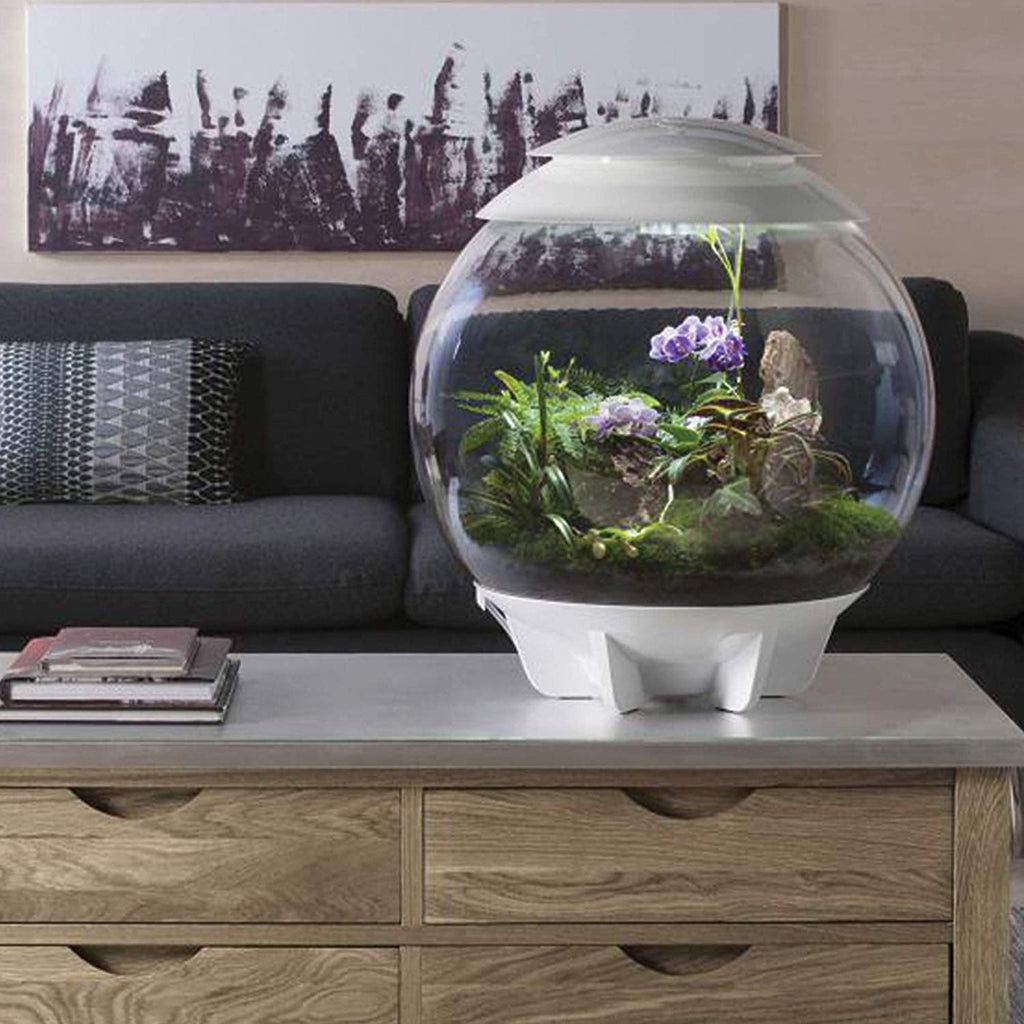 BiOrb Air 60L LED Smart Rainforest Terrarium
