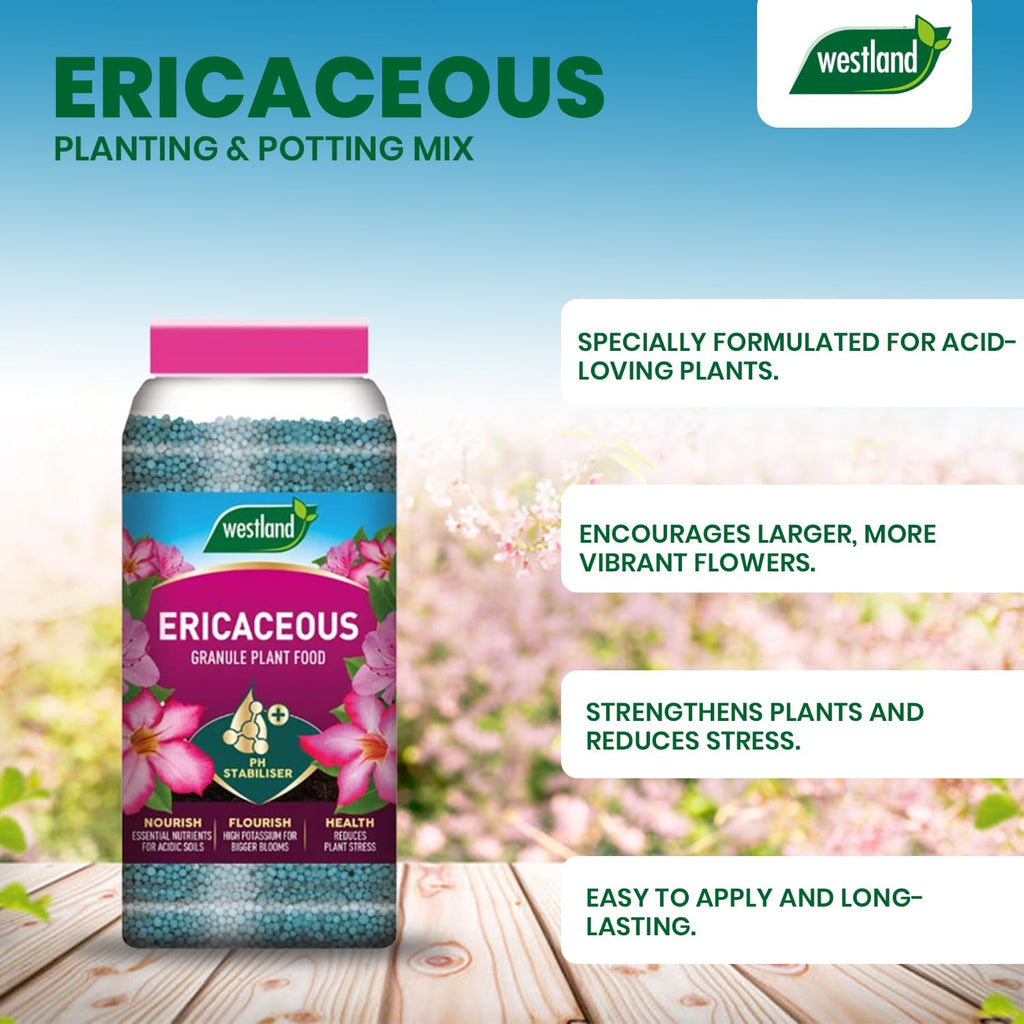 Westland Ericaceous Specialist Plant Food Slow Release Soil Granules Jar 900g