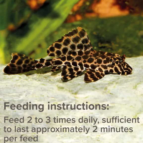 King British Pleco Tablets 150g - Sinking Fish Food