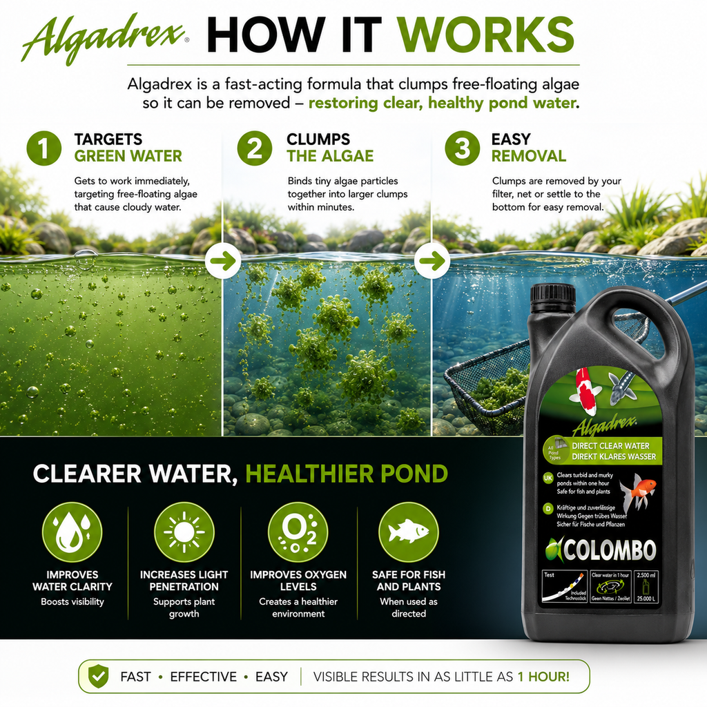 Colombo Algadrex Green Water Treatment – Fast Acting Pond Algae Control