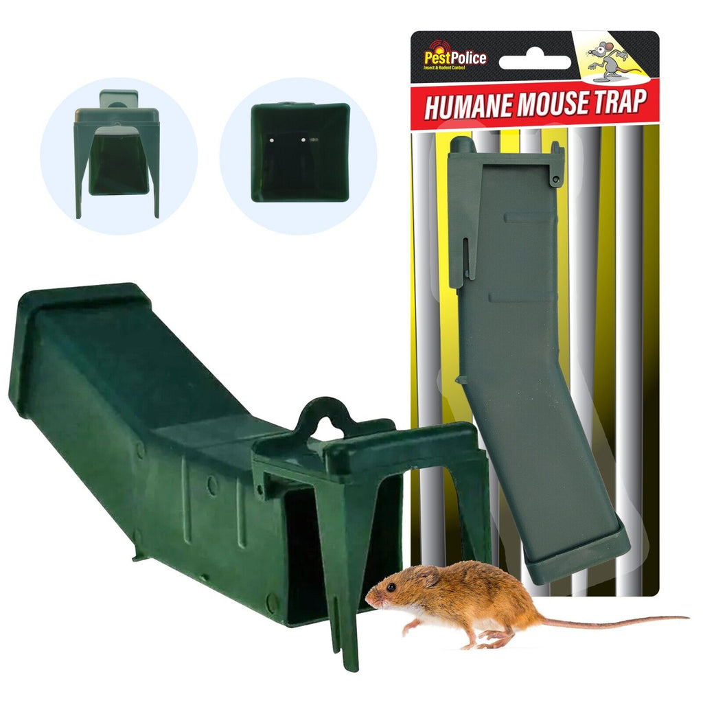 Humane Mouse Trap | Live Catch Rodent Cage Indoor Use