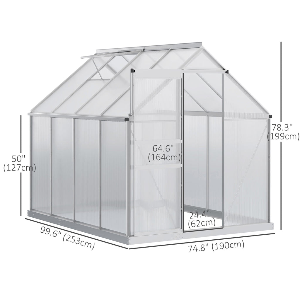 BloomGreen 6' x 8' x 6.5' Polycarbonate Greenhouse for All Seasons Growing with Roof Vent & Sliding Door, Clear