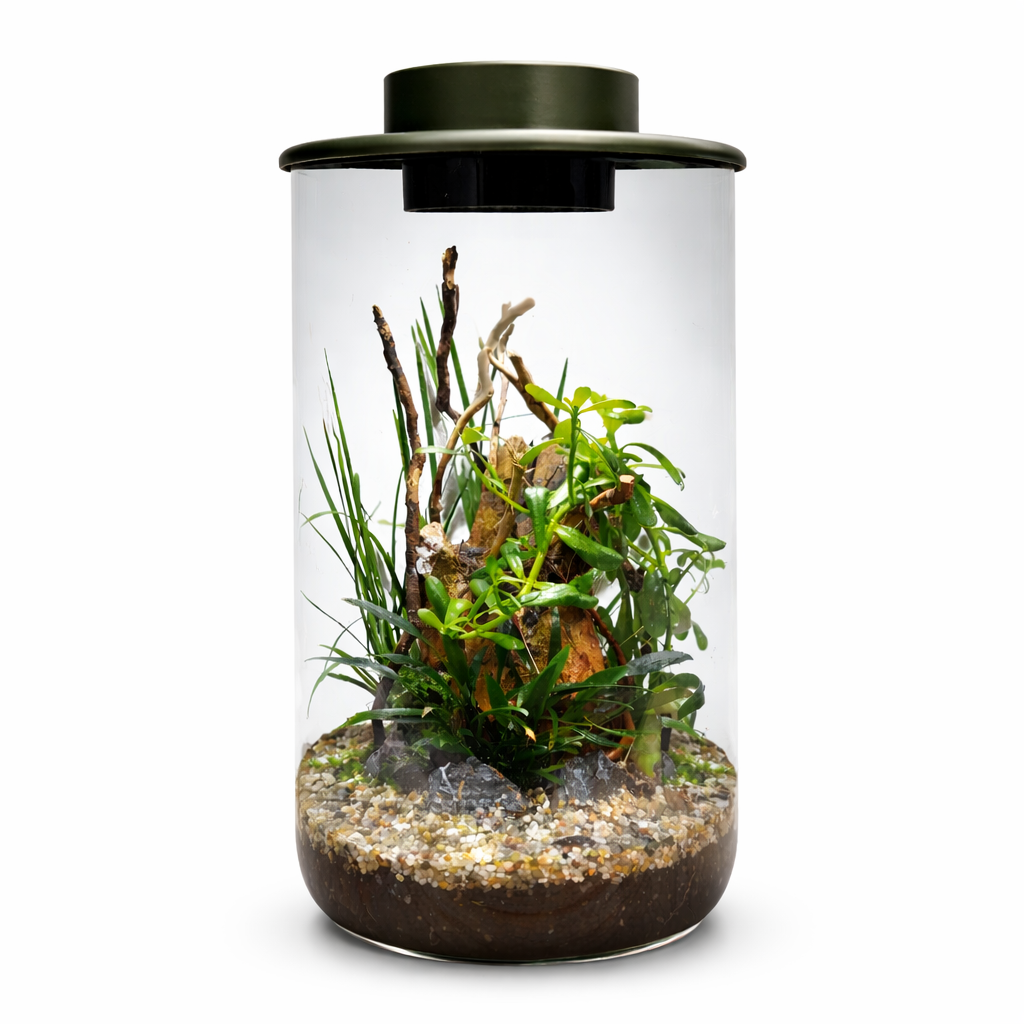 BioArt Drop 285 Black Nano Garden LED Plant Terrarium Dome