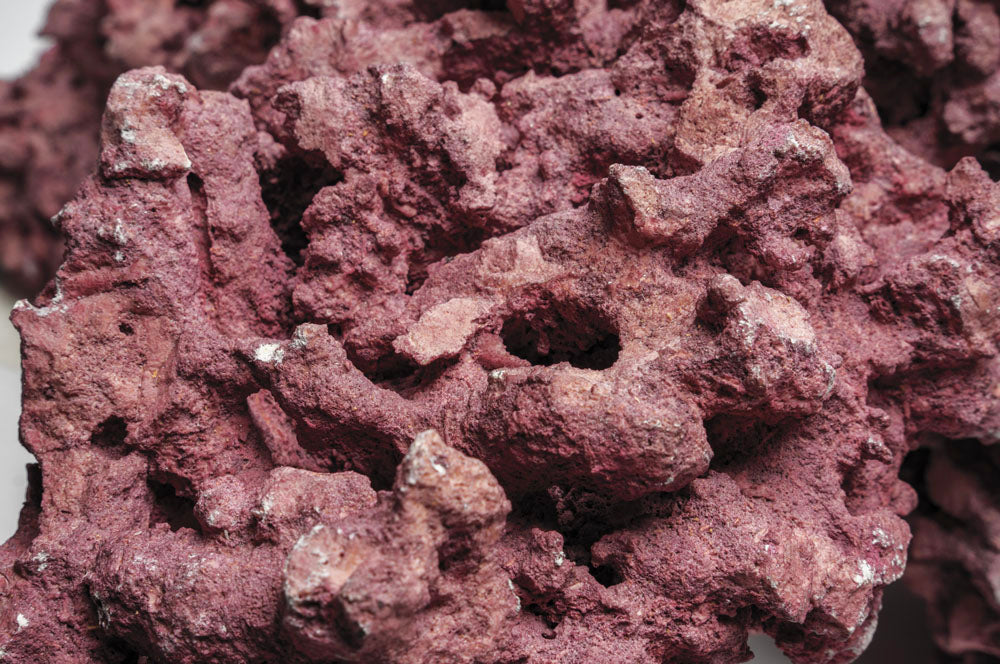 D-D Marco Coralline Rock - Natural Reef Aquascaping