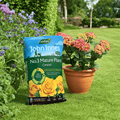 John Innes Peat Free No.3 Mature Plant Compost 28ltr Bulk Buy