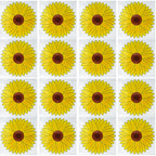 Window Sticker Fly Traps Sunflower Design | 8-16 Pack