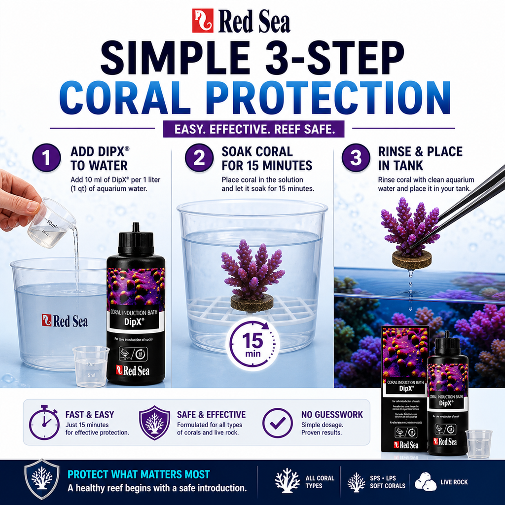 Red Sea DipX Coral Dip Solution for Reef Aquariums